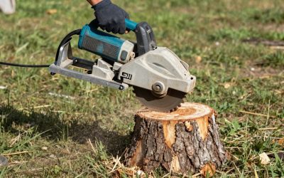 Fredericton Tree Stump Grinder: How It Works And Why It Matters